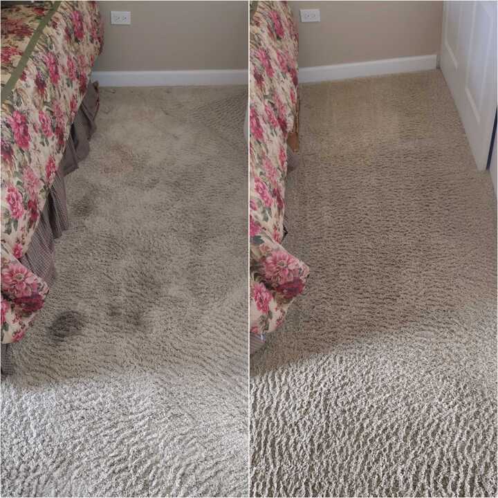 carpet cleaning near me