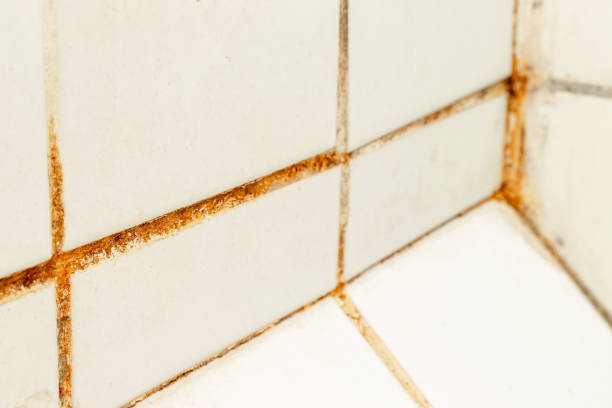 clean bathroom grout