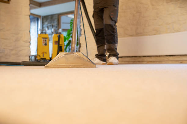 commercial carpet cleaning