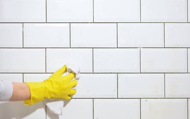 grout cleaning