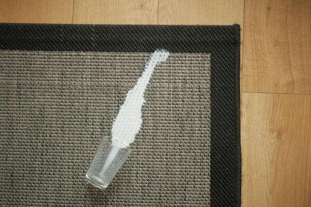 professional carpet cleaning near me