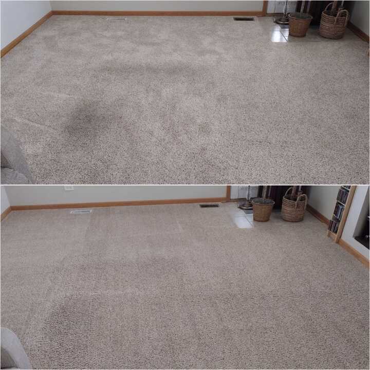 carpet cleaning company