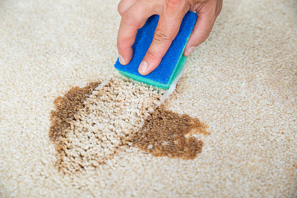 carpet cleaning near me