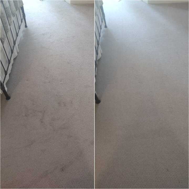 carpet cleaning