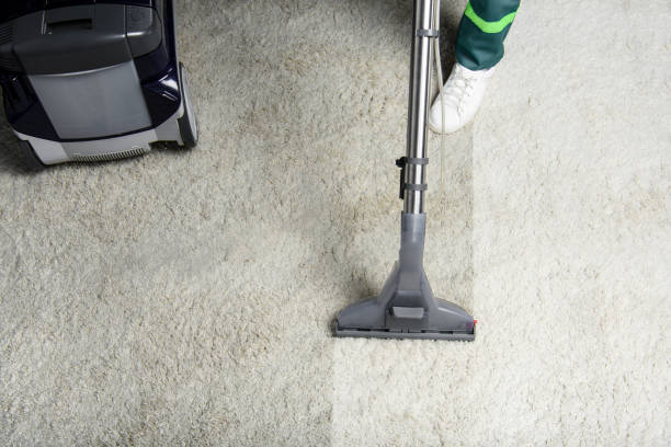 carpet steam cleaning