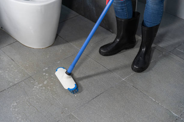 cleaning tile grout