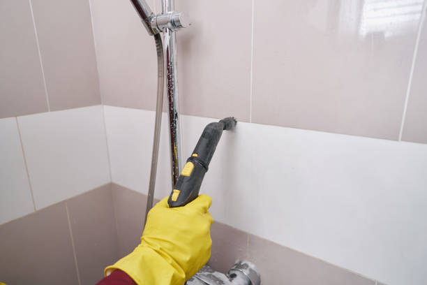 grout cleaning near me