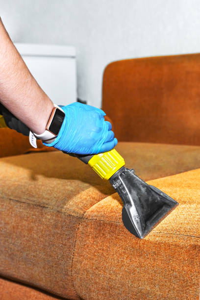 professional couch cleaning