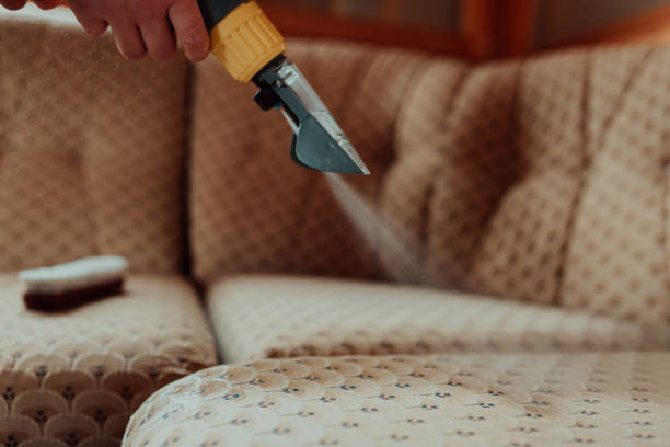 sofa cleaning service