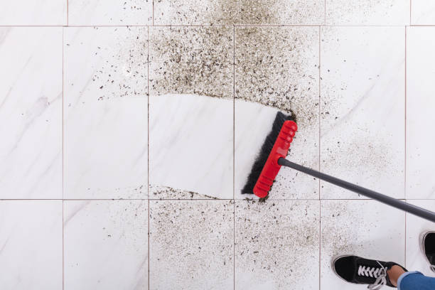 tile cleaning near me