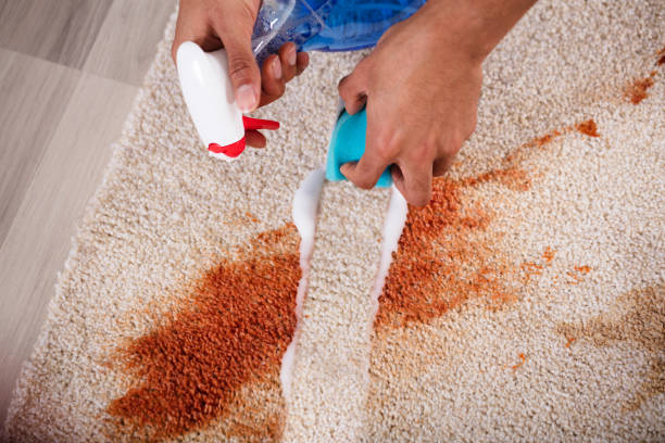 area rug cleaning