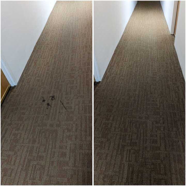 carpet cleaning