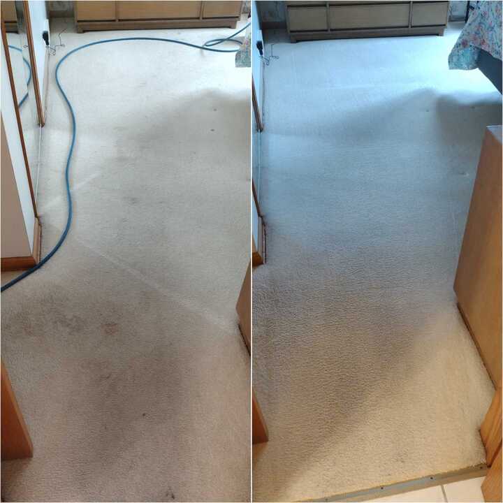 carpet cleaning companies