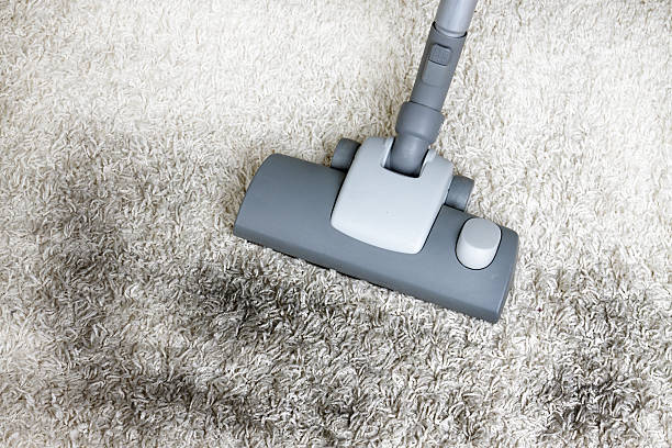 carpet cleaning service