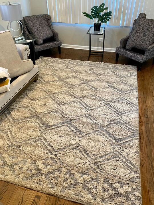 cleaning area rug