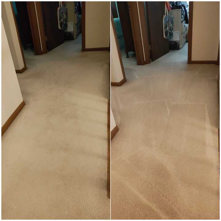 carpet cleaning