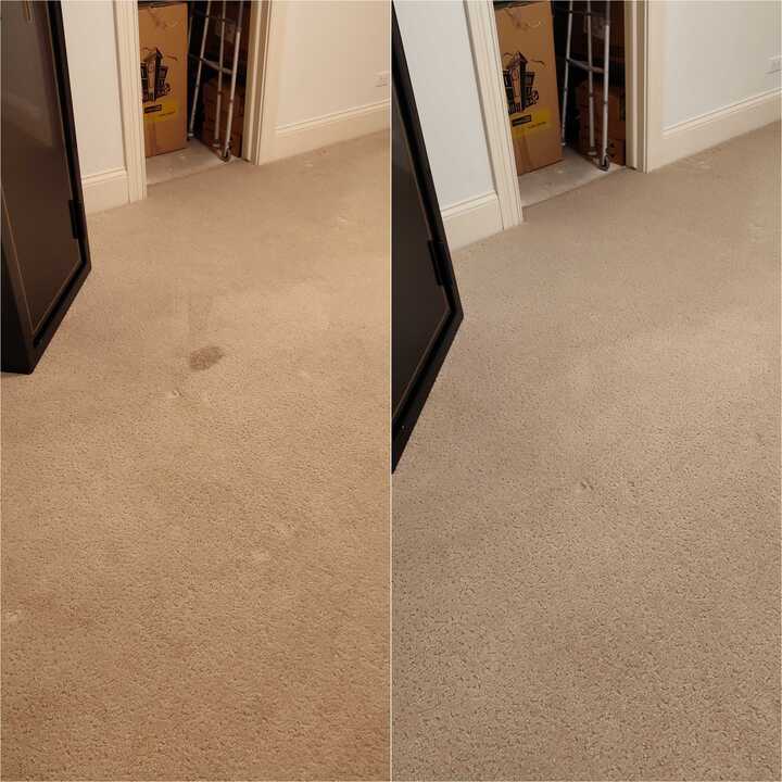 carpet cleaning