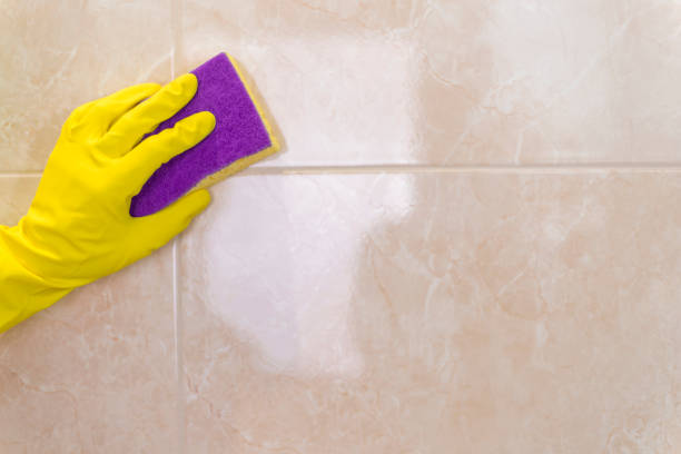 grout cleaning