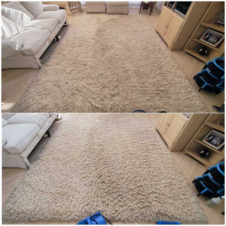 area rug cleaning