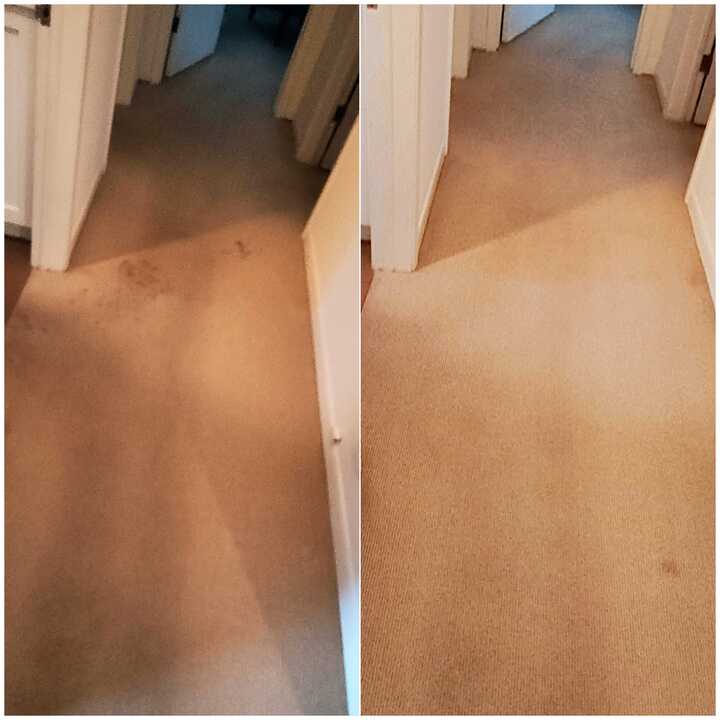 carpet cleaning