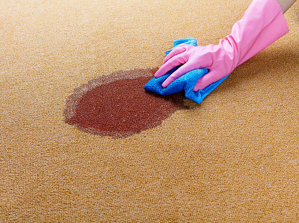 emergency-carpet-cleaning.jpg